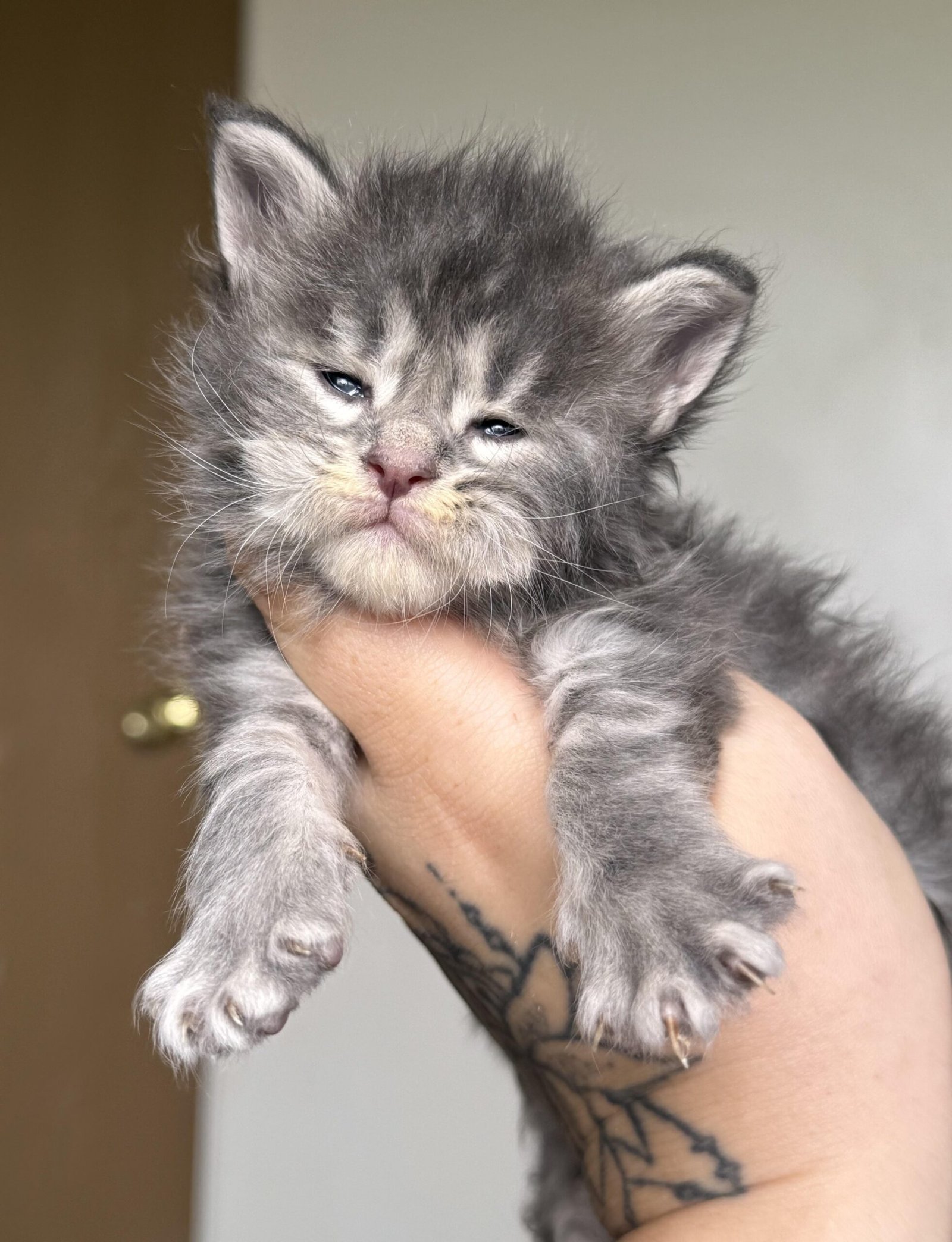 imageye___-_imgi_189_u29cvicskmff1